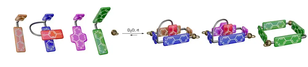 2019Chemistry%20Iago