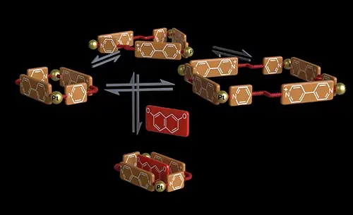 2019Chemistry%20Iago