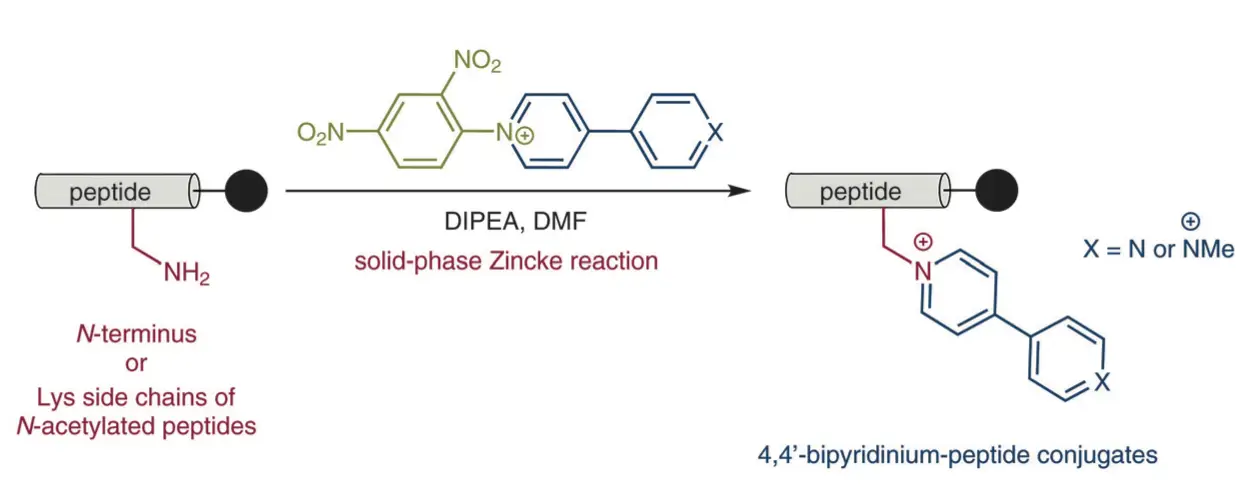 2019Chemistry%20Iago
