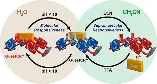 2019Chemistry%20Iago