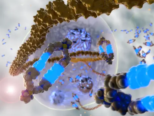 2019Chemistry%20Iago